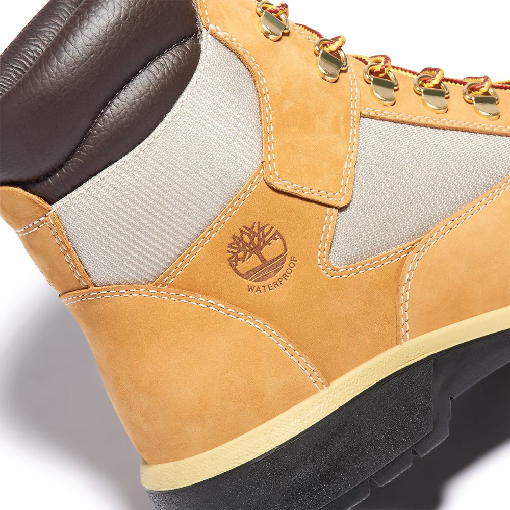 Bocanci 6-Inch Timberland Barbati Maro/Negrii - Waterproof Field - Romania - RUOVAK058